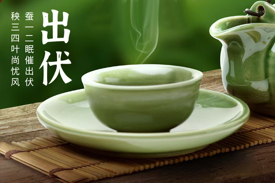 出伏暑去清風來，守一杯茶的閑逸，靜享秋日清歡